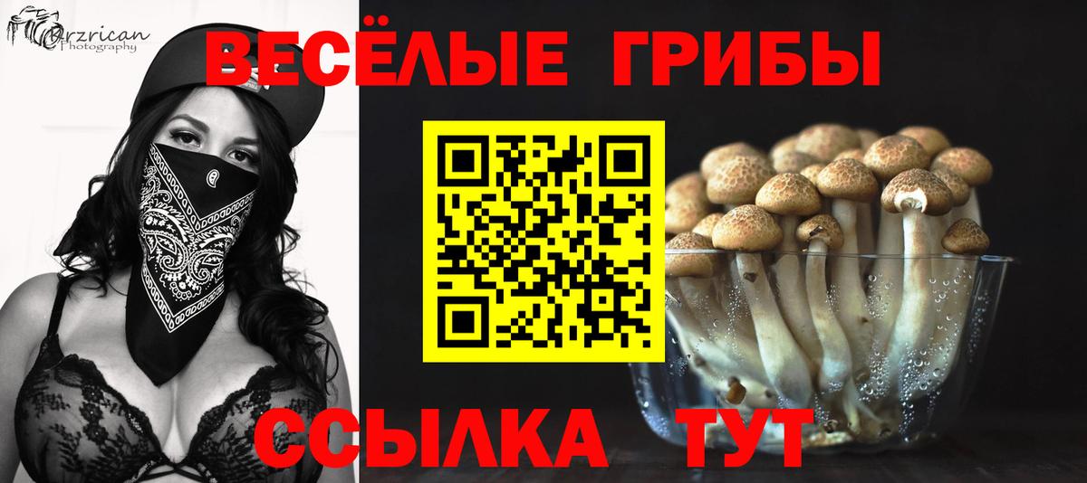 Псилоцибиновые грибы MAGIC MUSHROOMS  Вход с VPN  Краснокаменск 