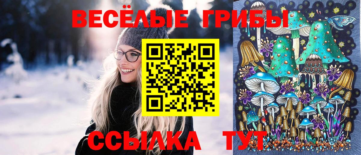 Галлюциногенные грибы GOLDEN TEACHER Краснокаменск